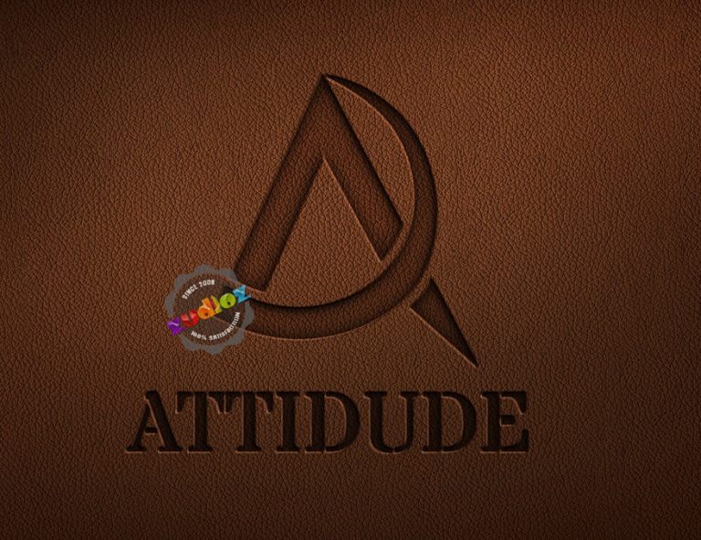 attitude